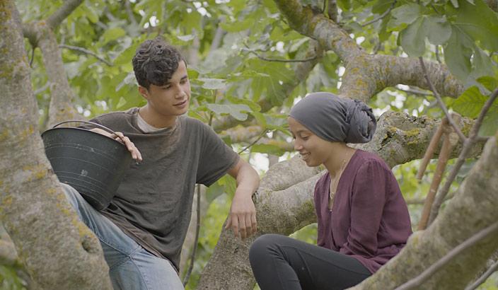 FIFF under the fig trees